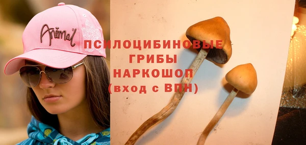 стафф Ачинск