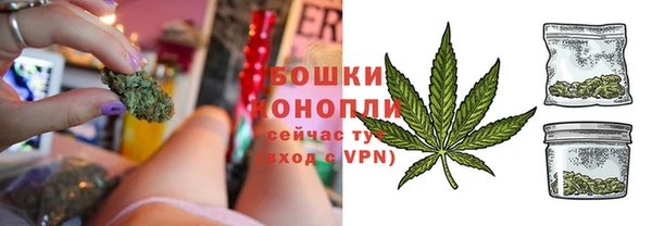 ГАЛЛЮЦИНОГЕННЫЕ ГРИБЫ Магас