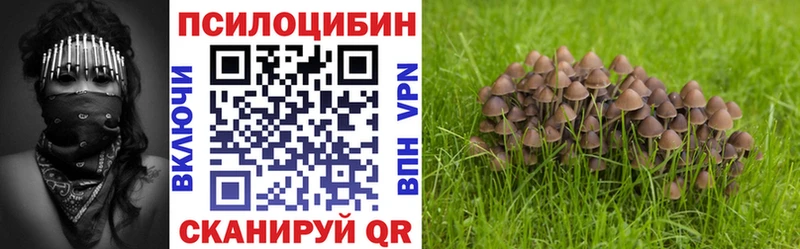 Псилоцибиновые грибы Psilocybine cubensis  Крымск 
