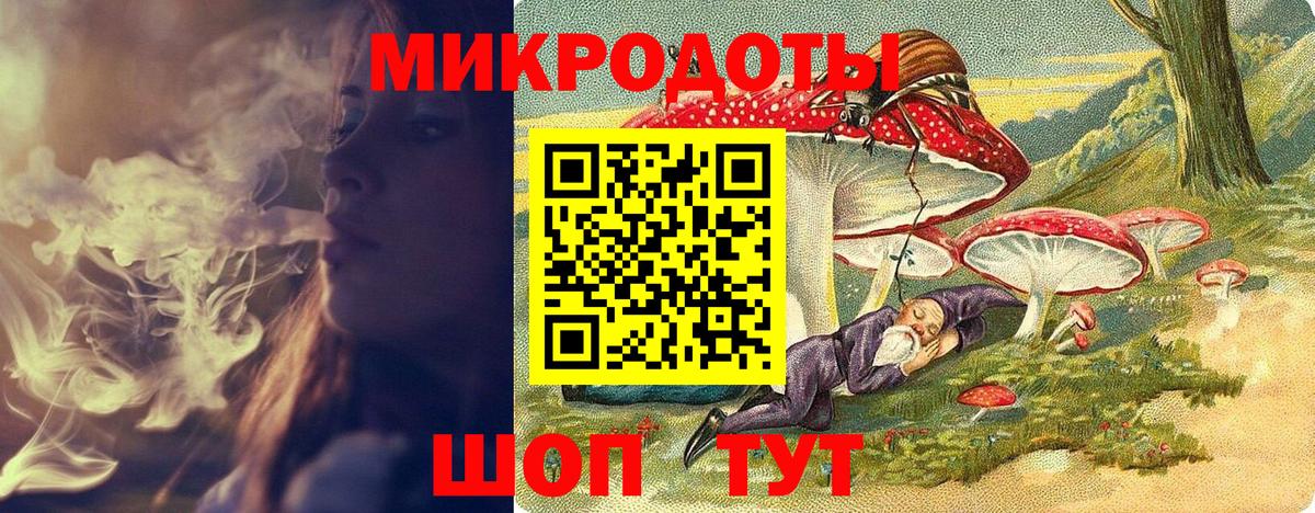 Галлюциногенные грибы Psilocybine cubensis Крымск