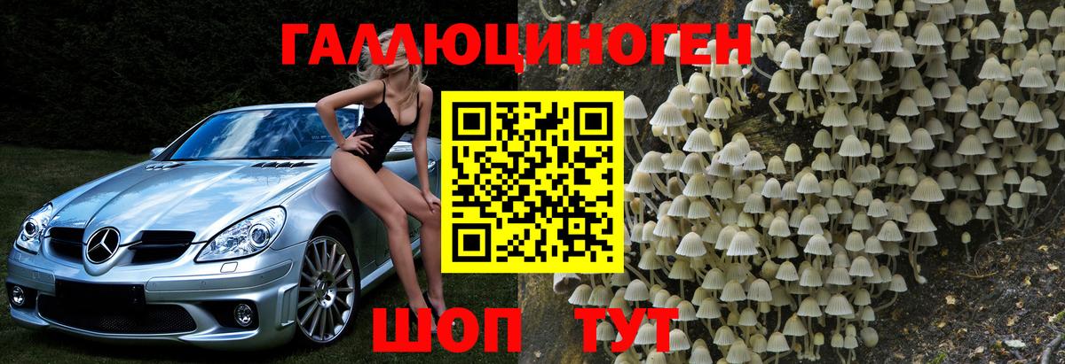 Крымск  Галлюциногенные грибы Psilocybe  Галлюциногенные грибы прущие грибы  Вход с VPN 