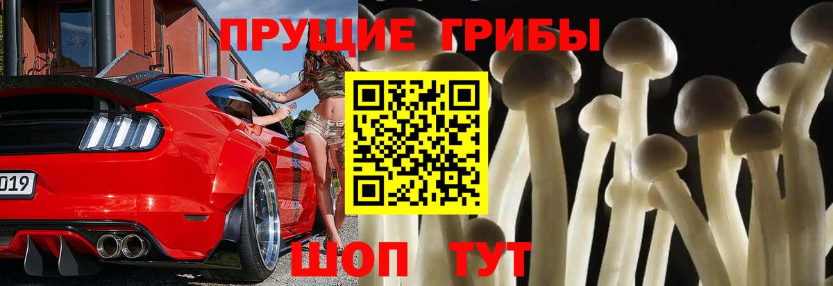 Галлюциногенные грибы Magic Shrooms  Галлюциногенные грибы мухоморы  Крымск 